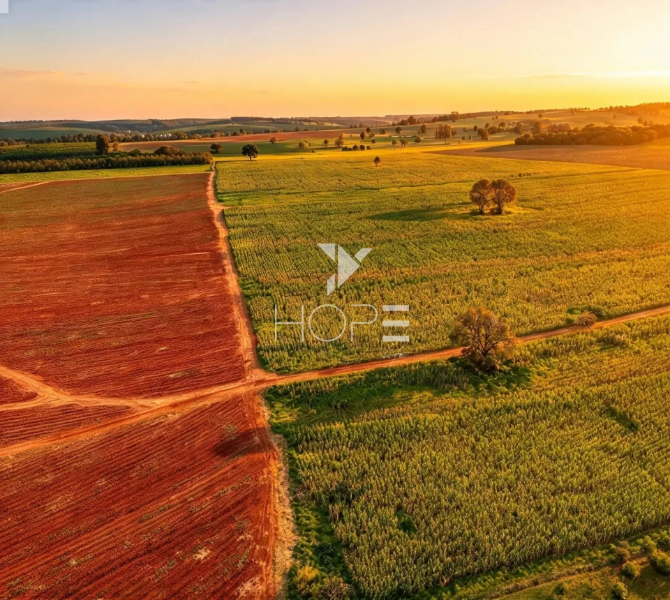 Imagens do imóveis Fazenda à Venda – 99,3 Hectares – Avaré/SP