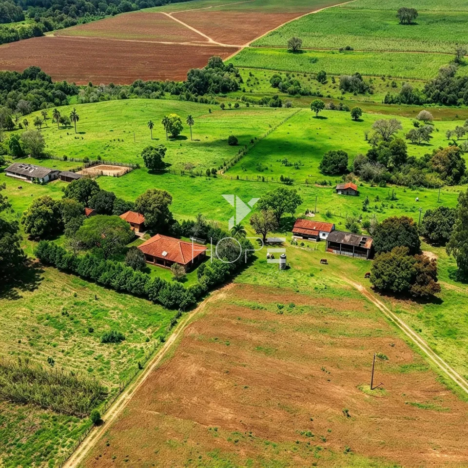 Imagens do imóveis Fazenda à Venda – 99,3 Hectares – Avaré/SP