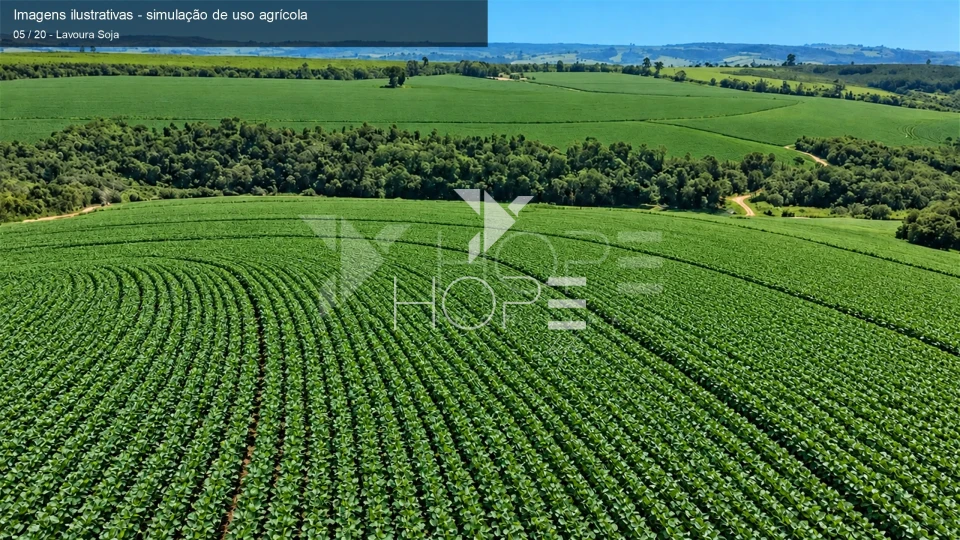 Imagens do imóveis Fazenda à Venda – Região de Itapetininga e Sorocaba – Interior – São Paulo/SP
