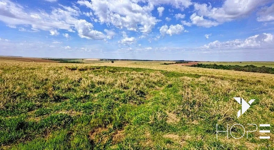 Fazenda à Venda – 155 Alqueires – Nossa Senhora das Graças/PR
