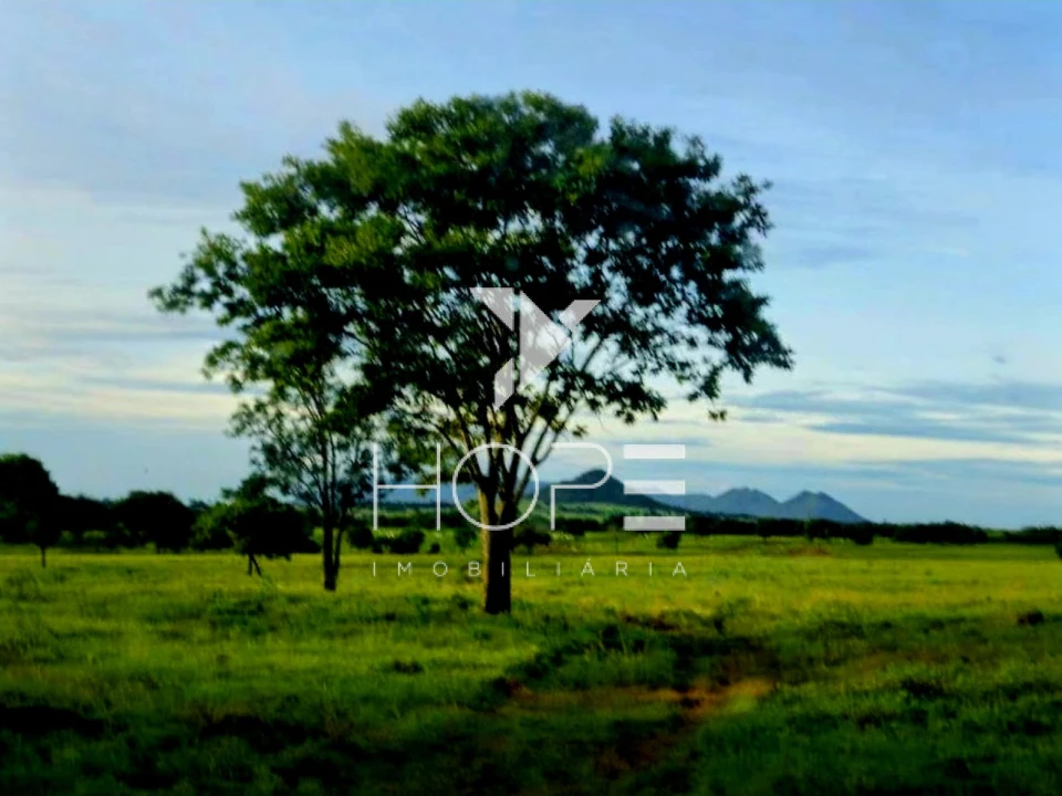 Fazenda à venda – 1.750 Alqueires (4.235 Hectares) – Alvorada do Norte/GO