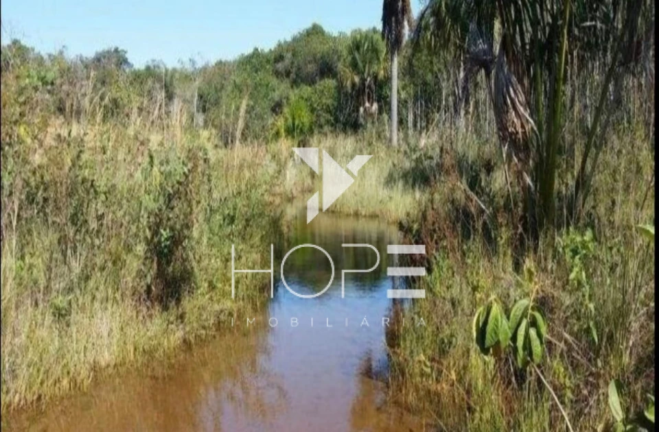 Imagens do imóveis Fazenda à Venda - 19 Alqueires - Dupla Aptidão - Região de Prata MG - Entre Prata e Uberlândia - Triângulo Mineiro