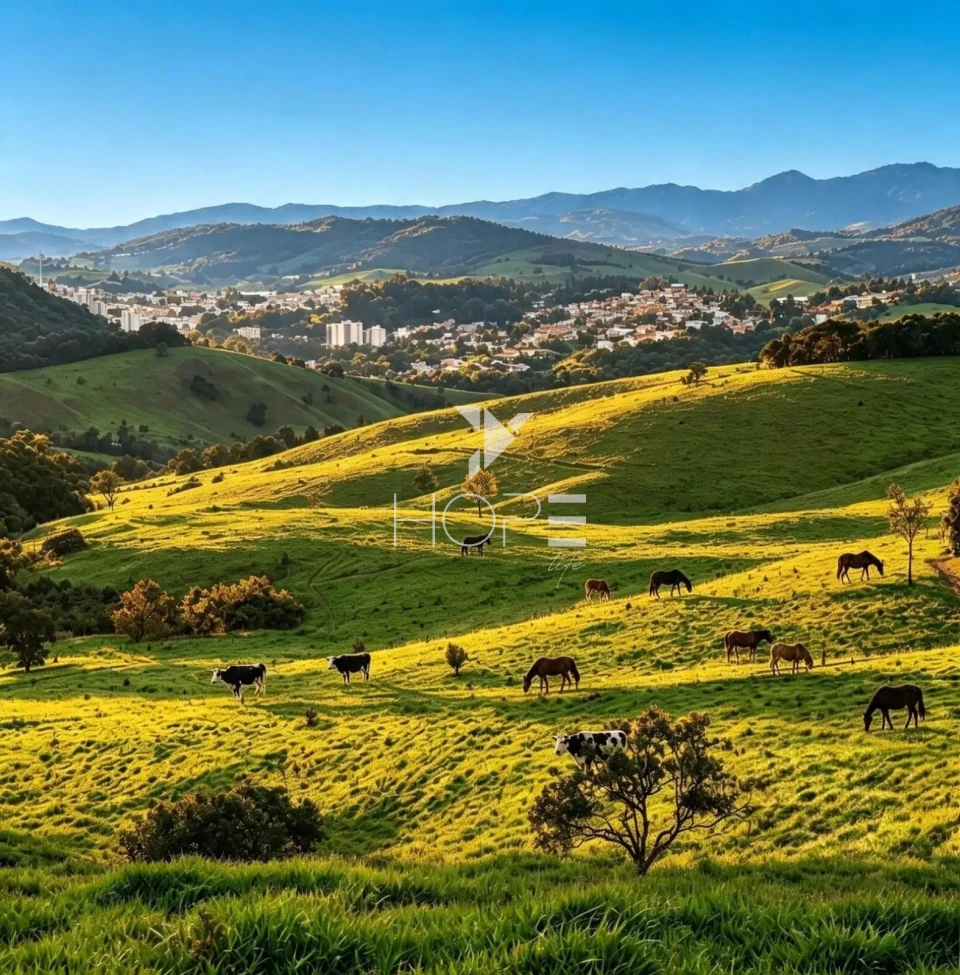 Imagens do imóveis Fazenda de Dupla Aptidão com 781 Hectares em Caxambu-MG – Haras, Pecuária e Agricultura