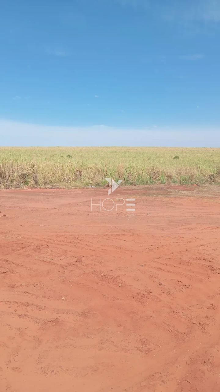 Imagens do imóveis Fazenda à venda com 158 alqueires - 85% aproveitamento - dupla aptidão - beira da rodovia - região de Maringá PR