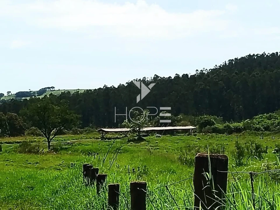 Fazenda à venda com 76 alqueires - pecuária com potencial agrícola - Guaravera - Londrina PR