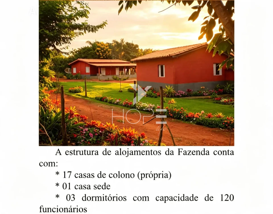 Fazenda cafeeira à venda com 1.333 hectares - 900 hectares em café - alta produtividade - Minas Gerais