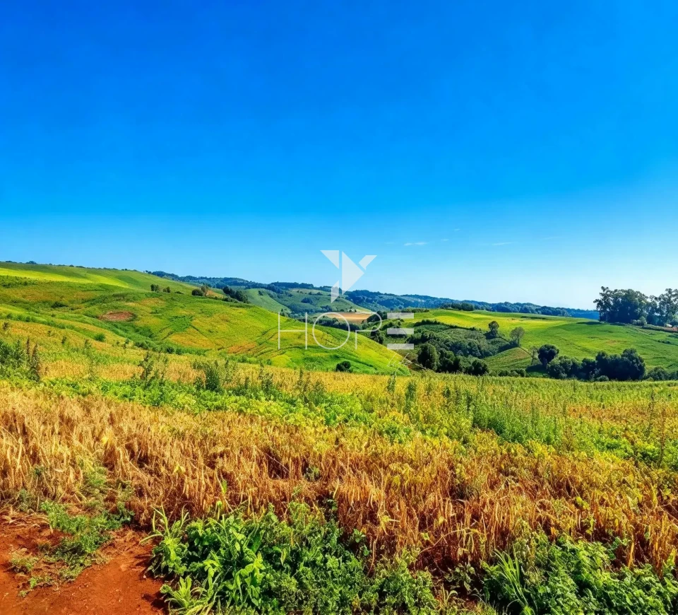 Imagens do imóveis Fazenda à Venda com Dupla Aptidão - Pecuária e Agricultura – 495 Alqueires – Francisco Beltrão – Francisco Beltrão/PR