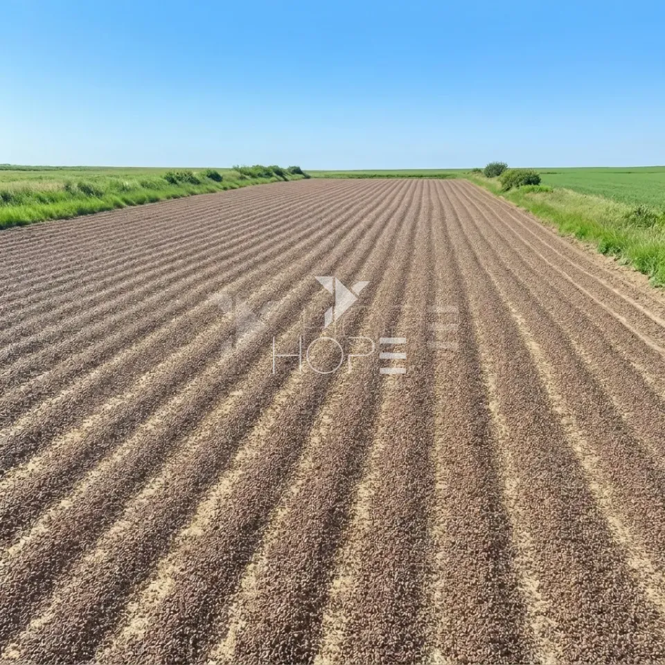 Imagens do imóveis Fazenda de Cafeicultura à Venda – 4.767,18 Hectares – Cafeicultura e Produção de Grãos – Unaí/MG