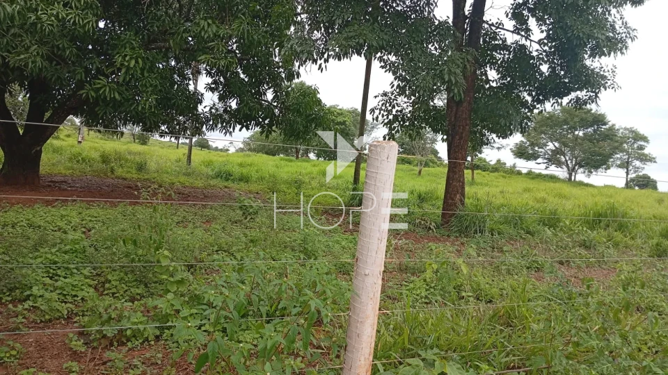 Imagens do imóveis Fazenda à venda com 260 alqueires - 201 formados - confinamento - apta para pivô - Mozarlândia GO