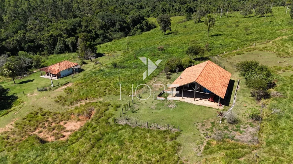 Imagens do imóveis Fazenda à venda com 75 alqueires (181.5 hectares) - agricultura e eucalipto - São Miguel Arcanjo SP