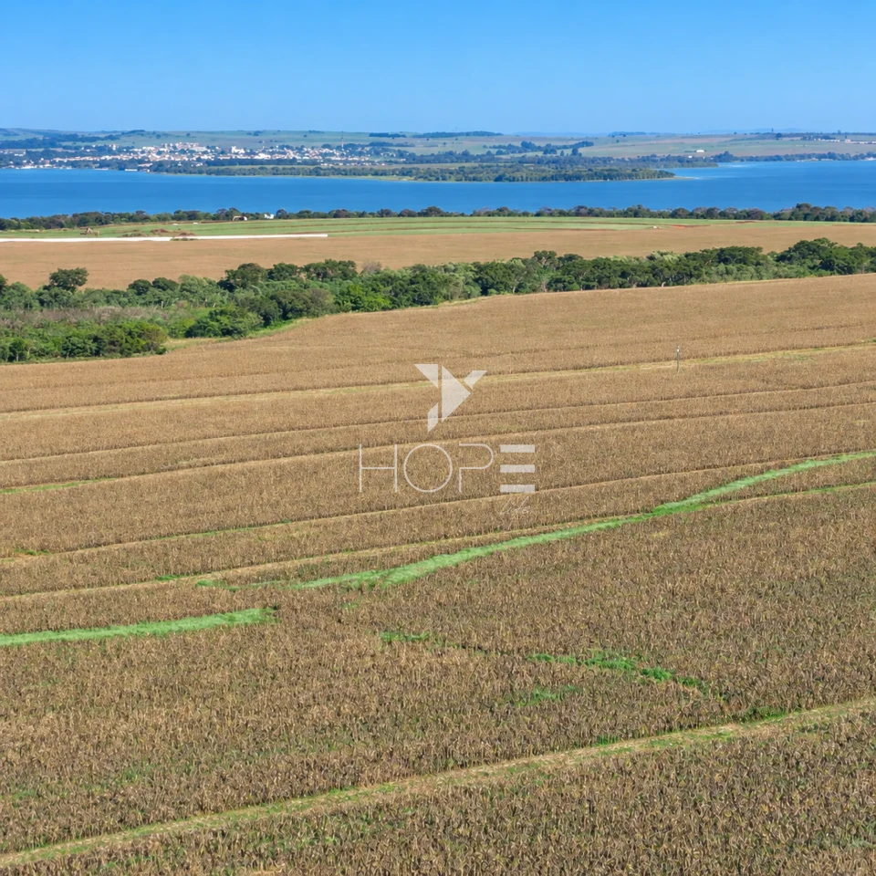 Imagens do imóveis Fazenda á Venda - 755 Hectares - Frente para a Represa do Rio Tibagi - Sertaneja/PR