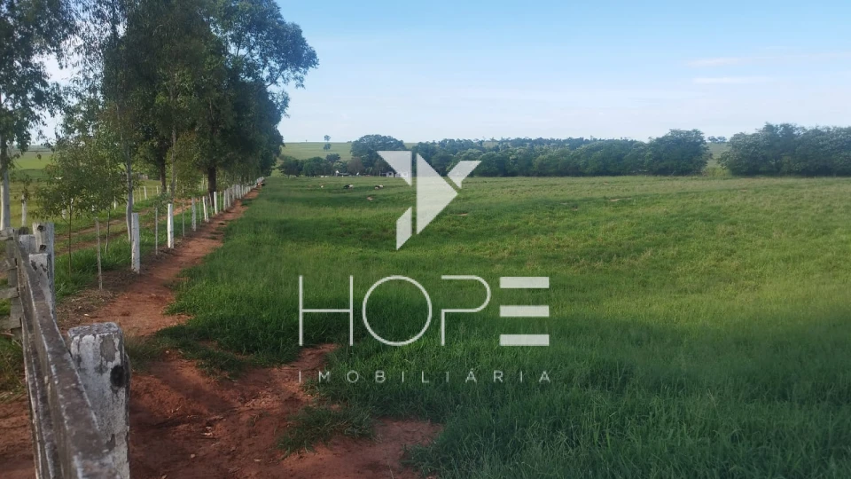 Imagens do imóveis Fazenda à venda 126 alqueires pecuária – região de Loanda – Paraná