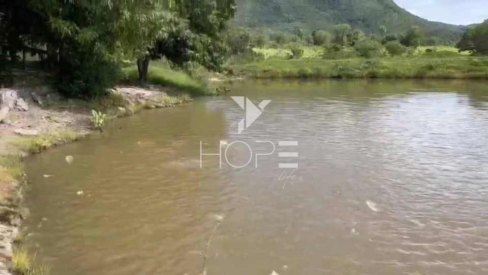 Imagens do imóveis Fazenda à venda 2.725 hectares pecuária porteira fechada – região de Monte Alegre de Goiás – Goiás