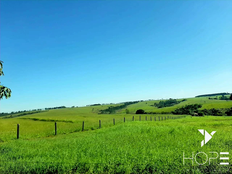 Imagens do imóveis Fazenda de 217 Alqueires – Localização Estratégica na Beira da Rodovia, a Apenas 50 km de Campo Mourão