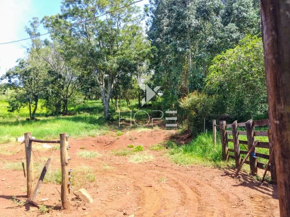 Fazenda à venda com 76 alqueires - pecuária com potencial agrícola - Guaravera - Londrina PR