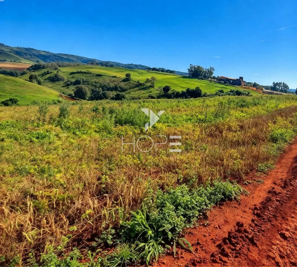 Imagens do imóveis Fazenda à Venda com Dupla Aptidão - Pecuária e Agricultura – 495 Alqueires – Francisco Beltrão – Francisco Beltrão/PR