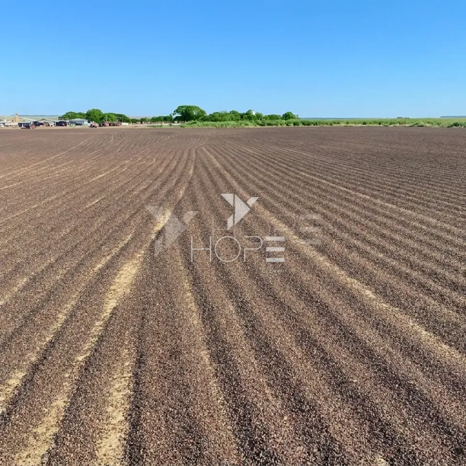 Imagens do imóveis Fazenda de Cafeicultura à Venda – 4.767,18 Hectares – Cafeicultura e Produção de Grãos – Unaí/MG