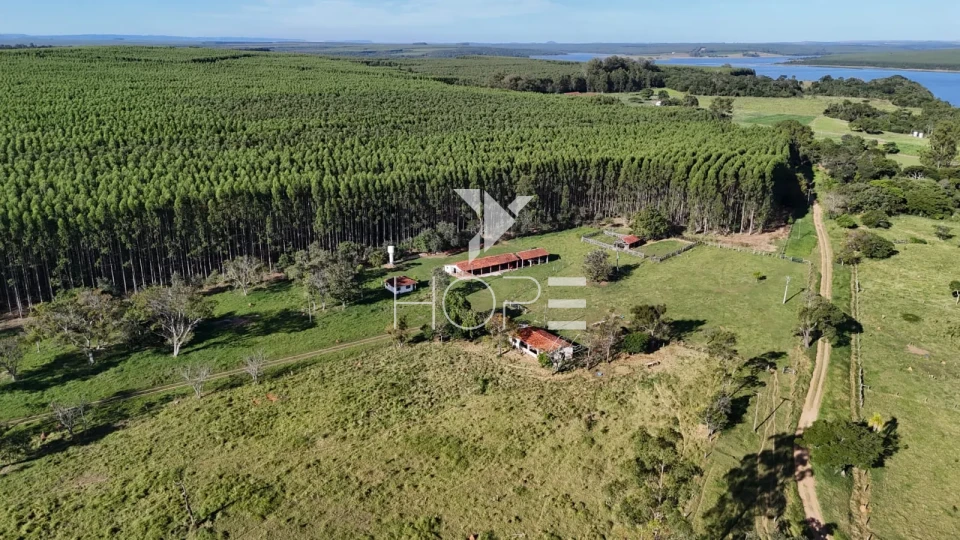 Imagens do imóveis Fazenda à venda com 148 alqueires - eucalipto e pastagem - margem para represa - Paranapanema SP