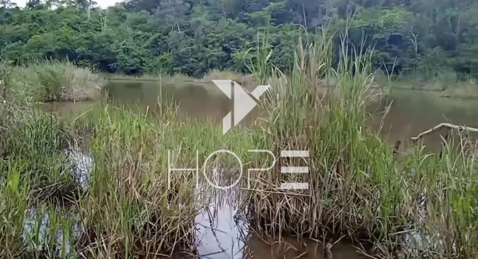 Imagens do imóveis Fazenda à venda 1.700 Hectares agricultura chapadão terra de primeira – Divisa Alegre – divisa BA/MG