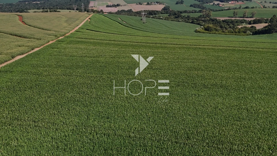 Sítio à venda com 35 alqueires - 847.000m² - próximo à Venda dos Pretos - Cambé PR