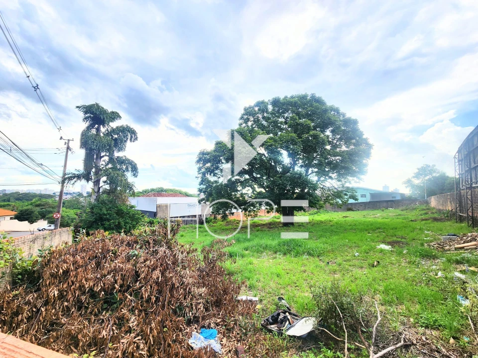 Terreno Amplo à Venda – Bancários – Londrina PR – 1.487 m² – para Investidores e Construtores