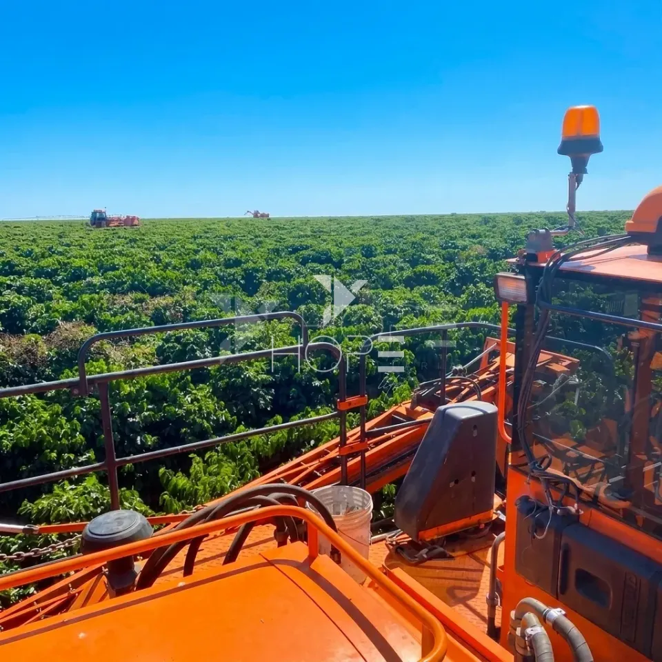 Imagens do imóveis Fazenda de Cafeicultura à Venda – 4.767,18 Hectares – Cafeicultura e Produção de Grãos – Unaí/MG