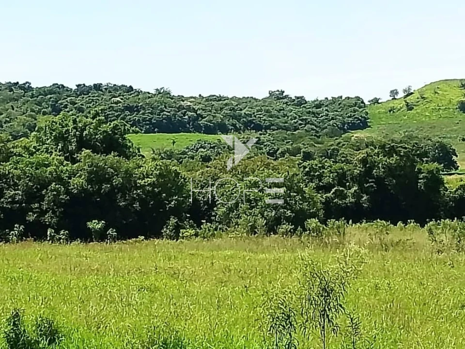 Fazenda à venda com 76 alqueires - pecuária com potencial agrícola - Guaravera - Londrina PR
