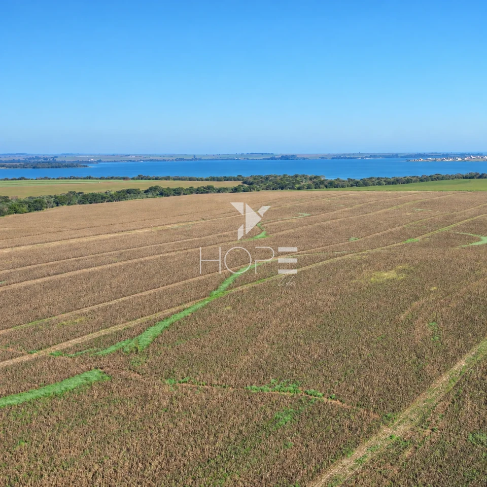 Imagens do imóveis Fazenda á Venda - 755 Hectares - Frente para a Represa do Rio Tibagi - Sertaneja/PR