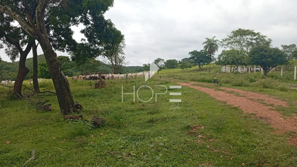 Imagens do imóveis Fazenda à venda com 54 alqueires - renda com cana - mansão de luxo - dupla aptidão - próximo a Uruanã GO