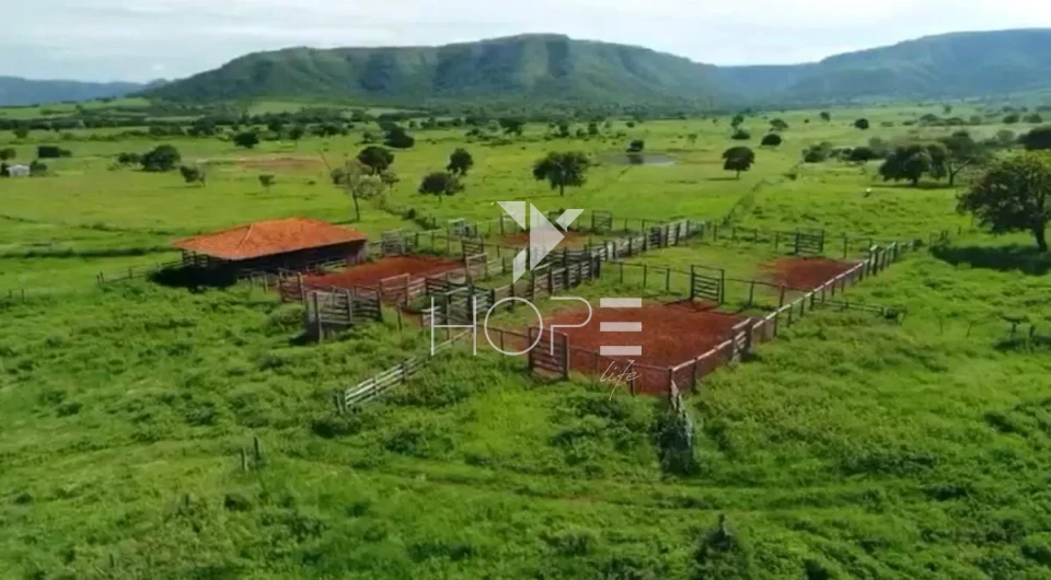 Imagens do imóveis Fazenda de dupla aptidão à venda com 1.765 alqueires - 8.543 hectares - porteira fechada - Alvorada do Norte GO
