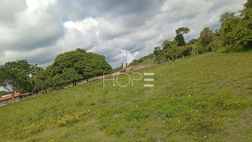 Imagens do imóveis Fazenda à venda com 72 alqueires - 55 em pasto - pronta - curral completo - região de Morro Agudo - Faina GO