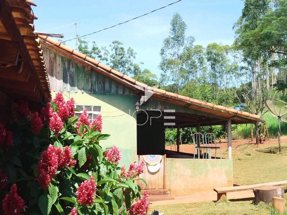Fazenda à venda com 76 alqueires - pecuária com potencial agrícola - Guaravera - Londrina PR