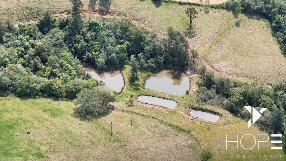 Imagens do imóveis Sítio Escriturado à venda – 6,25 alqueires – Tamarana/PR