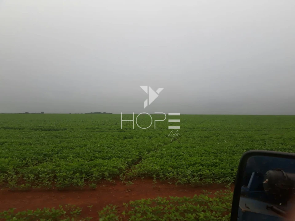 Imagens do imóveis Fazenda à venda 39.000 hectares dupla aptidão com armazém e pista de pouso – região de Confresa – Mato Grosso