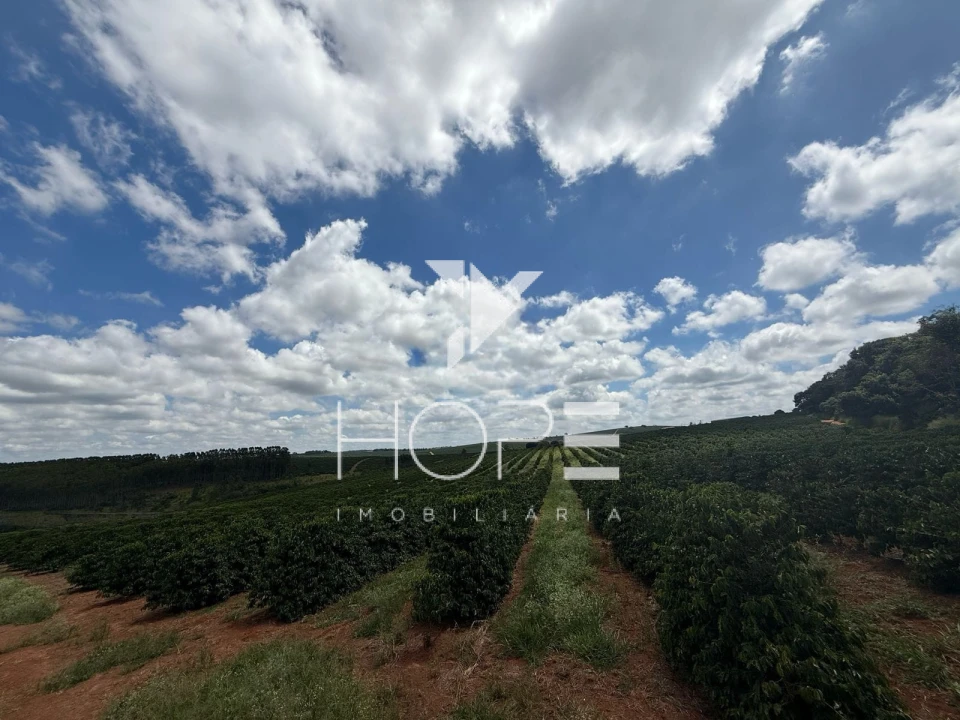 Imagens do imóveis fazenda cafeeira à venda 640 hectares irrigada – município de São Sebastião do Paraíso – Minas Gerais