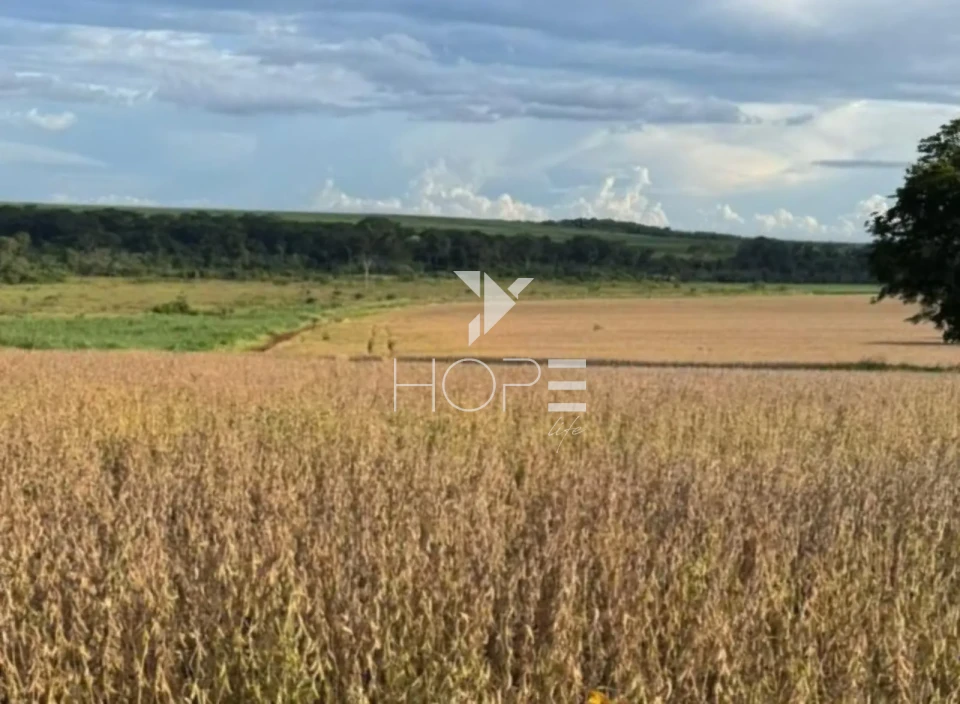 Imagens do imóveis Fazenda à venda com 33.000 hectares - agricultura em larga escala - estrutura completa - pista de pouso - Primavera do Leste MT