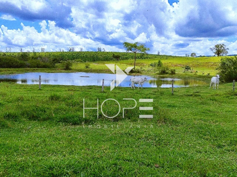 Fazenda à Venda na Região de Botucatu/SP – 294 Alqueires com Frente para a Rodovia Castelo Branco