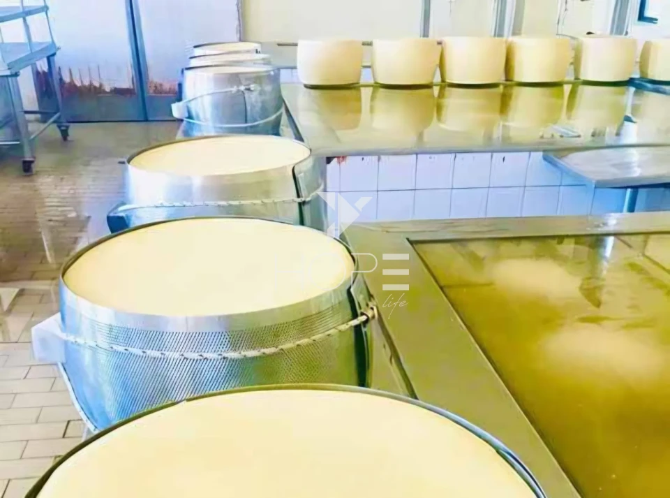 Imagens do imóveis fazenda leiteira à venda com 127 alqueires - laticínio próprio - porteira fechada - Pouso Alegre MG