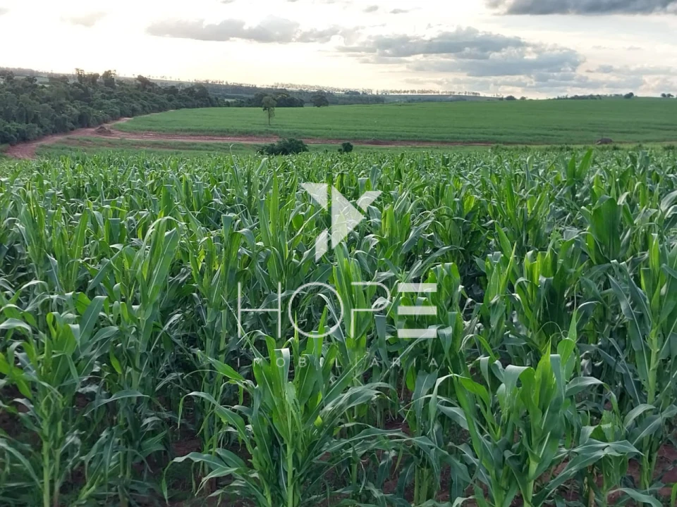 Imagens do imóveis Fazenda Leiteira Porteira Fechada à Venda – 78 Alqueires – Paranavaí/PR – Estrutura Completa + Usina Solar