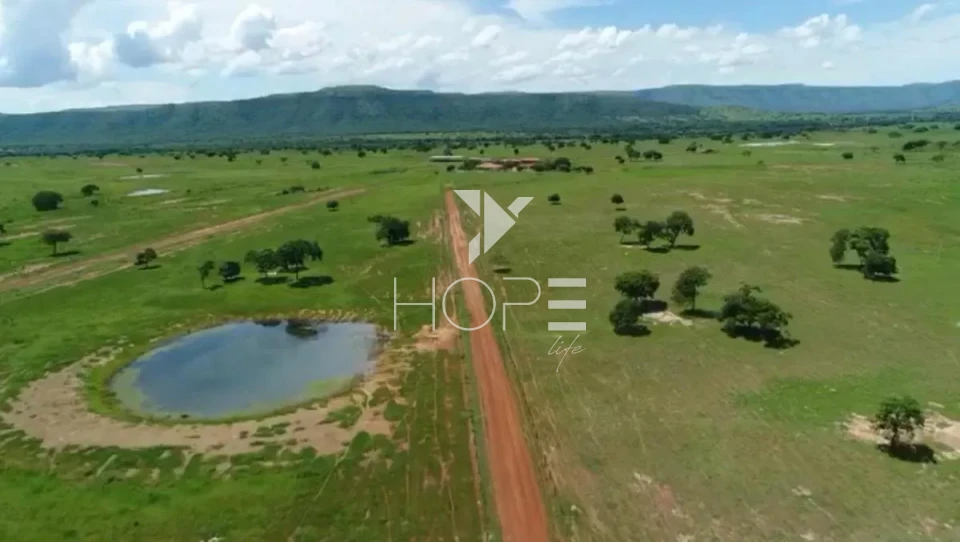 Imagens do imóveis Fazenda de dupla aptidão à venda com 1.765 alqueires - 8.543 hectares - porteira fechada - Alvorada do Norte GO