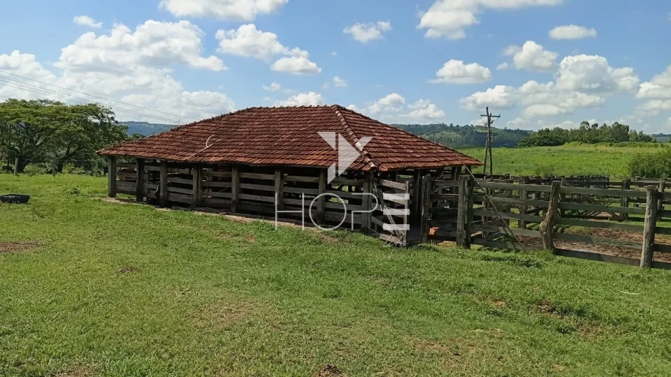 Imagens do imóveis Fazenda à venda com 204.5 alqueires - pecuária bovina - estrutura completa - região de Marília SP