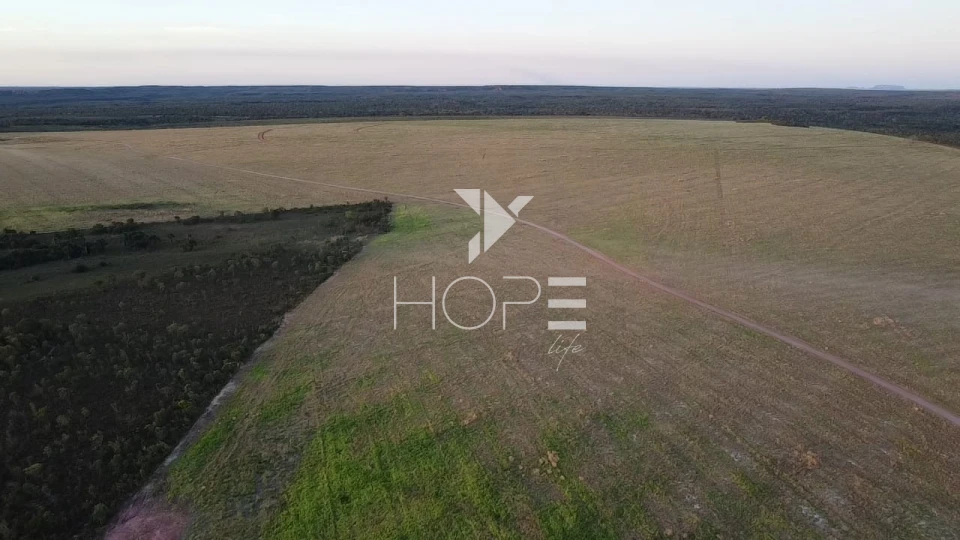 Imagens do imóveis Fazenda à venda 397 alqueires dupla aptidão com lavoura em formação – Tocantins – região de Palmas