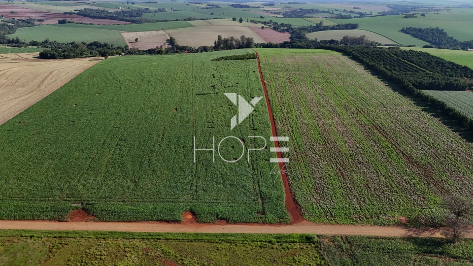 Imagens do imóveis Sítio à venda com 15 alqueires - 363.000m² - região do Bratislava - Londrina PR