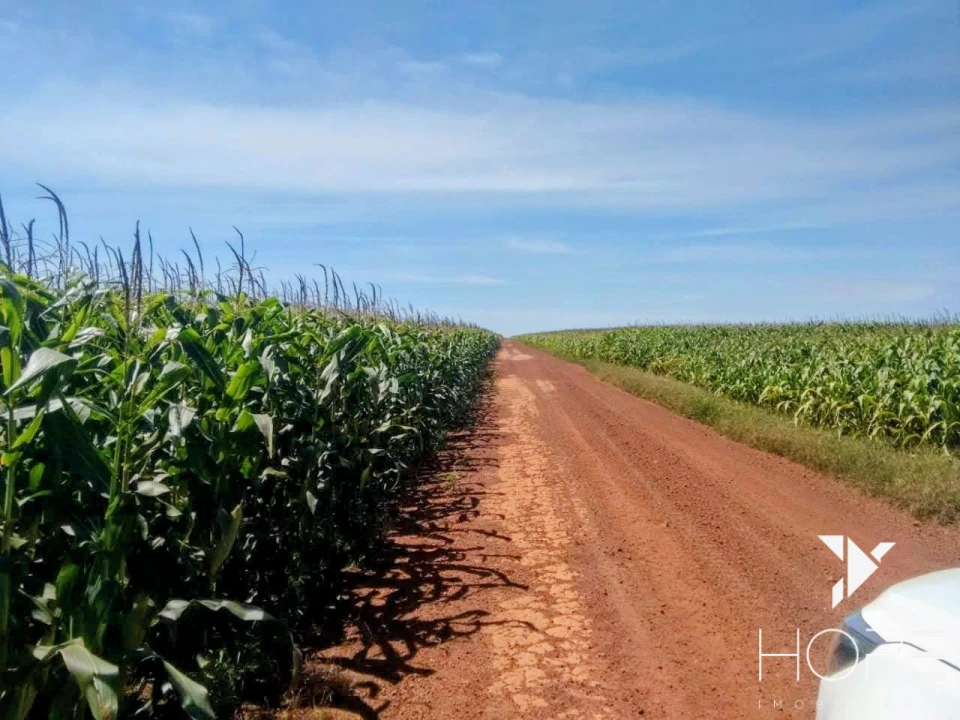Imagens do imóveis Fazenda no Matogrosso de 33 mil hectare (13.636 Alqueires).