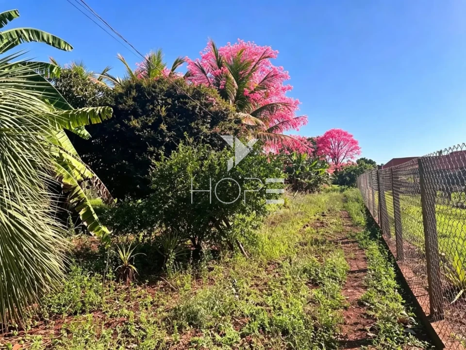 Imagens do imóveis Chácara molhada à venda - 3 quartos - 2 suítes - acesso à água - Alvorada do Sul PR
