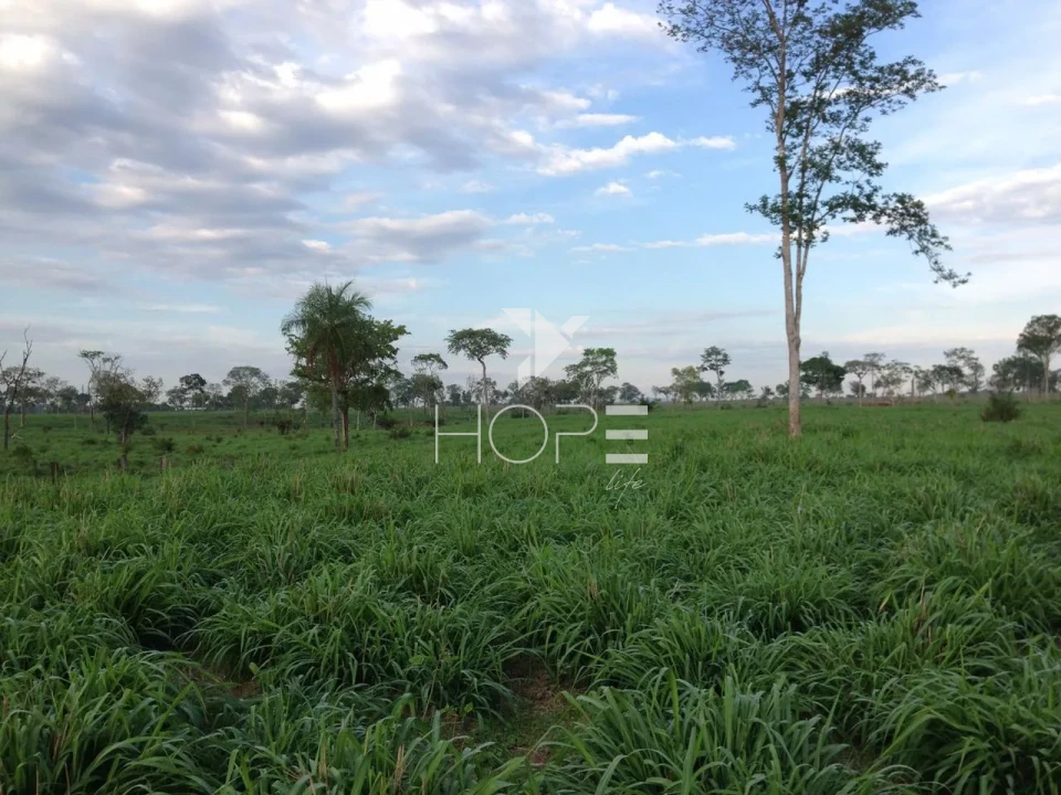 Imagens do imóveis Propriedade à Venda de Alto Padrão - Asfaltada e Homologada C/Hangar – 3.872 Hectares – São Miguel do Araguaia – GO