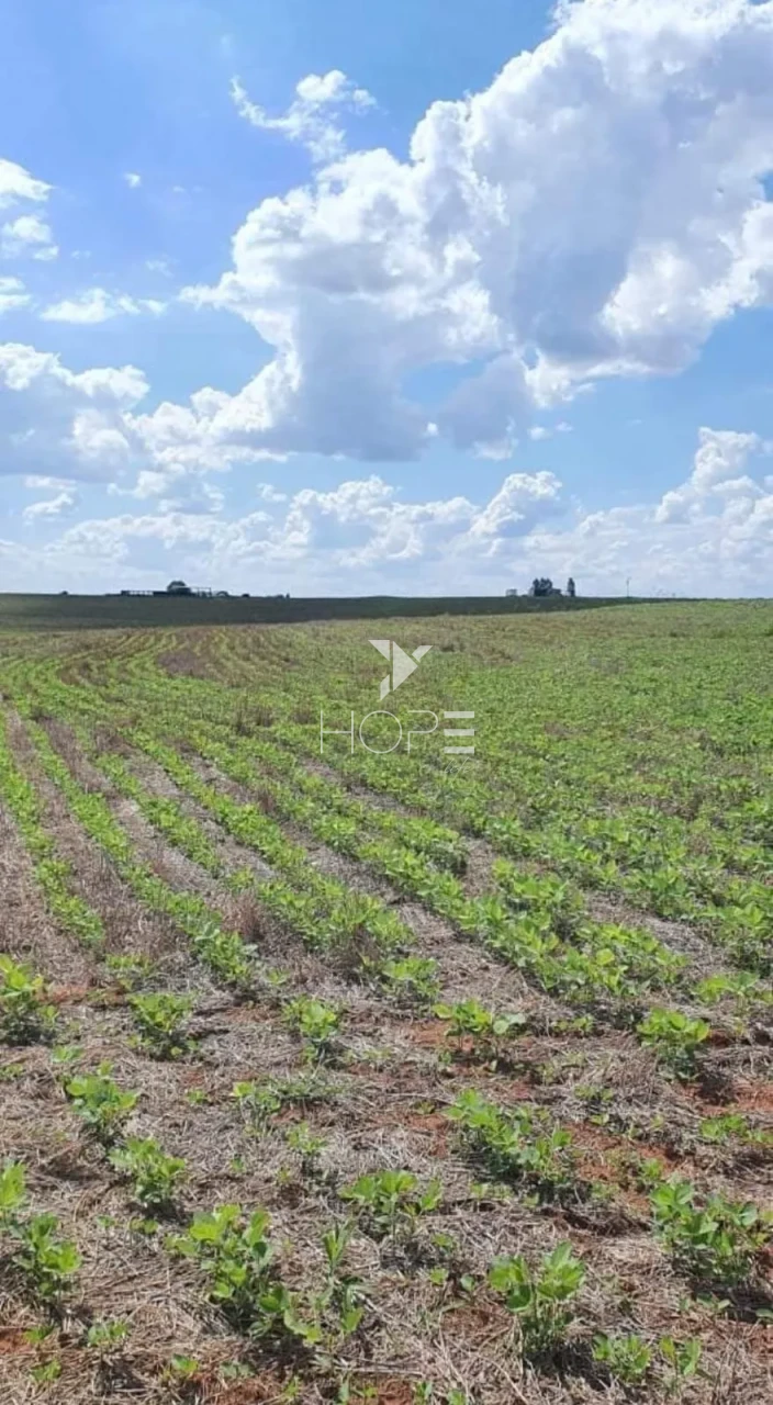 Imagens do imóveis Fazenda à Venda - Solo Misto – 174,24 Hectares – Bauru/SP