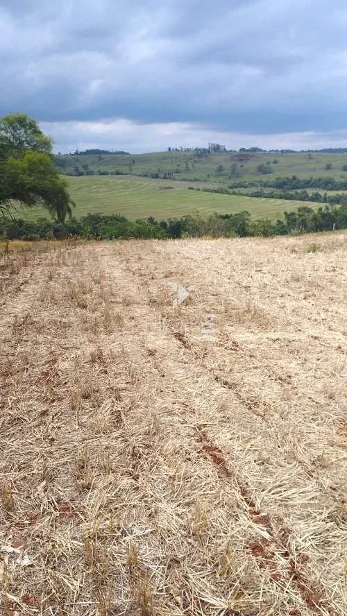Imagens do imóveis Fazenda à Venda de Terra Roxa – 92 Alqueires – São Pedro do Ivaí/PR