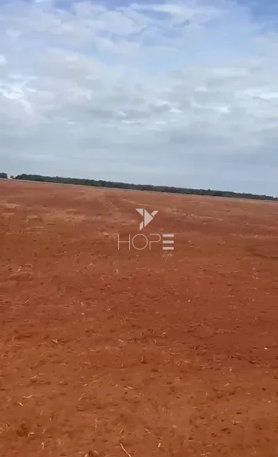 Imagens do imóveis Fazenda à Venda 100% de Plantio – 50 Alqueires – Região de Anhumas/SP