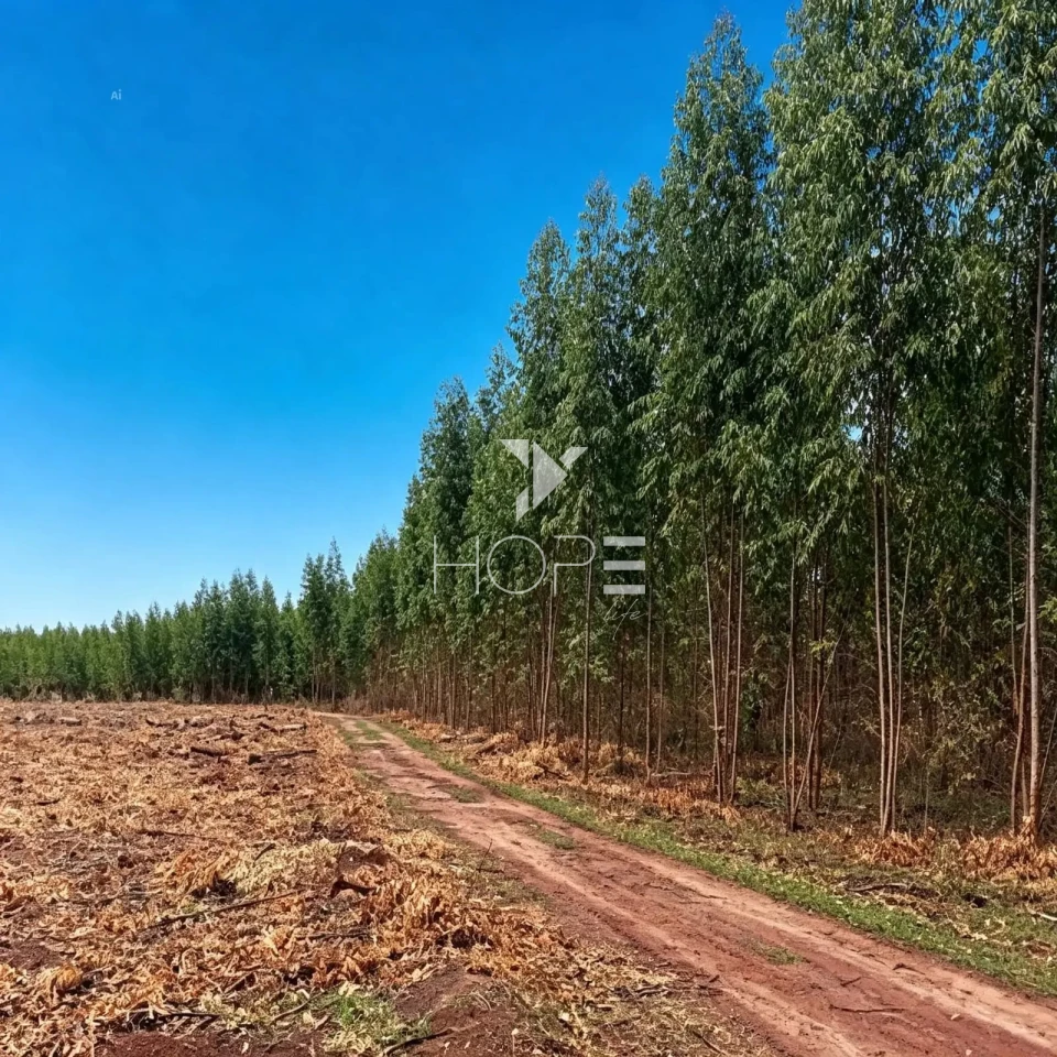 Fazenda à Venda com Aptidão Pecuária e Florestal – 513 Hectares – Brasilândia de Minas/MG